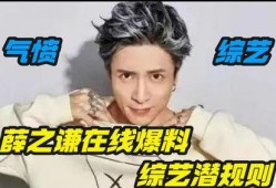 薛之谦爆料综艺节目视频,一场关于真相与情感的较量