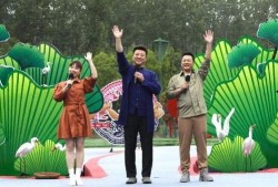 皖北一姐爆料视频最新版,揭秘惊人内幕！